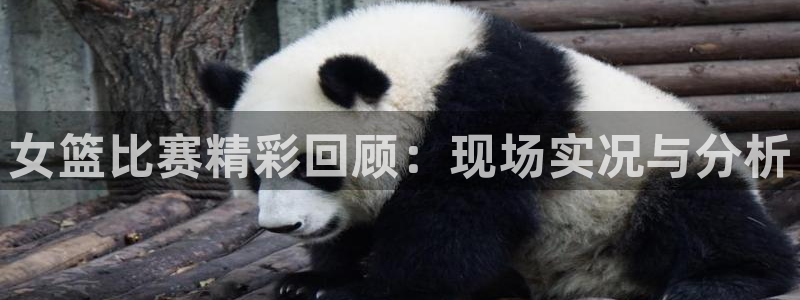 蓝鲸体育ufc直播