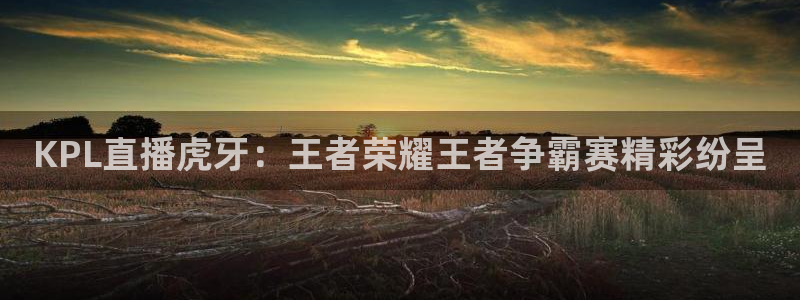 蓝鲸体育直播app：KPL直播虎牙：王者荣耀王者争霸赛精彩纷呈