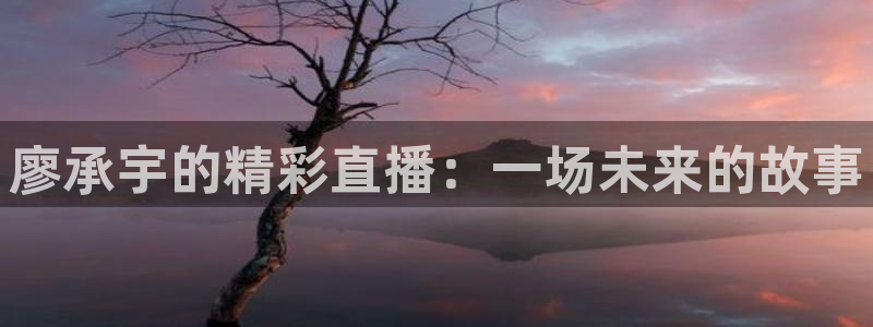 蓝鲸体育直播免费观看：廖承宇的精彩直播：一场未来的故事